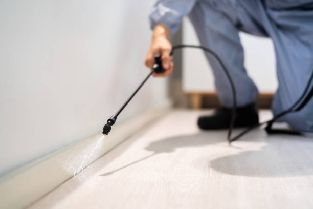 Licensed Pest Control service in Coarsegold, CA - Show Me Pest Control
