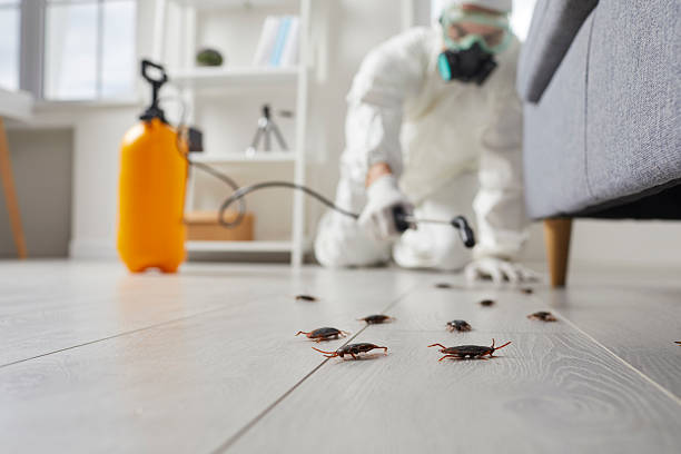 Commercial Kitchen Cockroach Control in Coarsegold